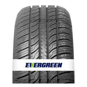Evergreen-EH22-2