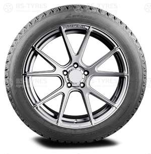 Antares Grip 60 Ice 225/50 R17 98T