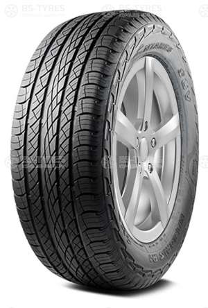 Antares Majoris R1 285/45 R22 114V