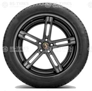 Continental ContiWinterContact TS830P 265/30 R20 94V