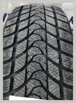 Delinte Winter WD1 215/55 R17 94T