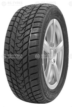 Delinte Winter WD1 215/55 R17 94T