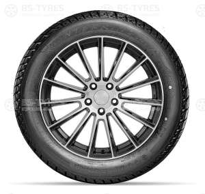 Doublestar DW01 225/50 R17 94T