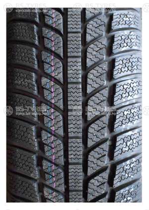 Evergreen Winter EW62 215/55 R16 97H