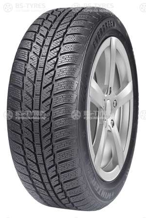 Evergreen Winter EW62 215/55 R16 97H