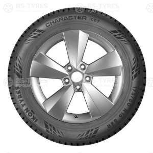 Ikon (Nokian Tyres) Character Ice 7 (Nordman 7) SUV 235/65 R18 110T