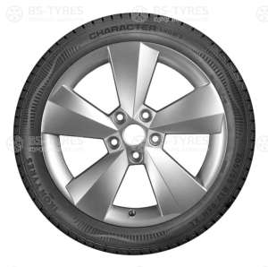 Ikon (Nokian Tyres) Character Snow 2 (Nordman RS2) 195/60 R15 92R