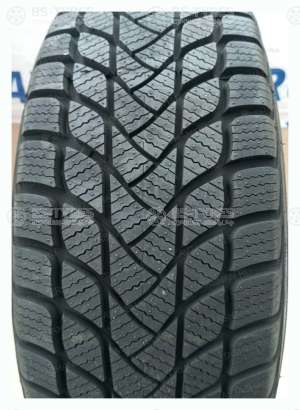 Landsail Winter Lander 205/50 R17 93H