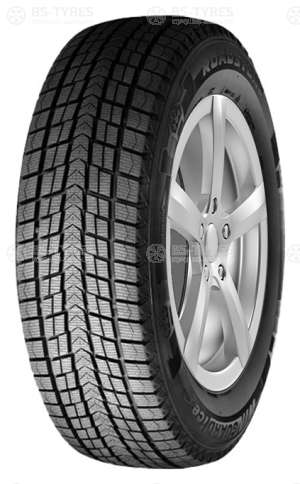 Roadstone Winguard Ice 195/60 R15 88Q