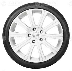 Roadx Frost WU01 255/50 R19 107H