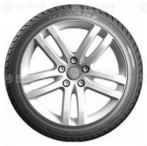 Rydanz Nordica NR01 225/65 R17 102H