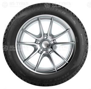 Tigar Winter 215/60 R17 96H