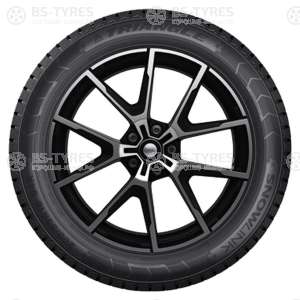 Triangle Snow PL01 195/55 R15 89R