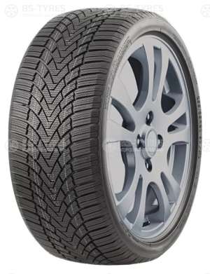 Roadmarch WinterXPro 888 215/40 R17 87V