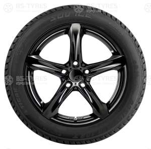 Tigar Ice 225/45 R17 94T